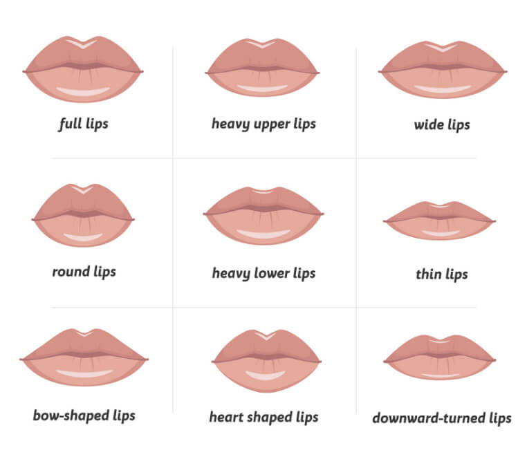 Lip types